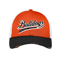 Springfield Bulldogs - New Era Vintage Mesh Cap